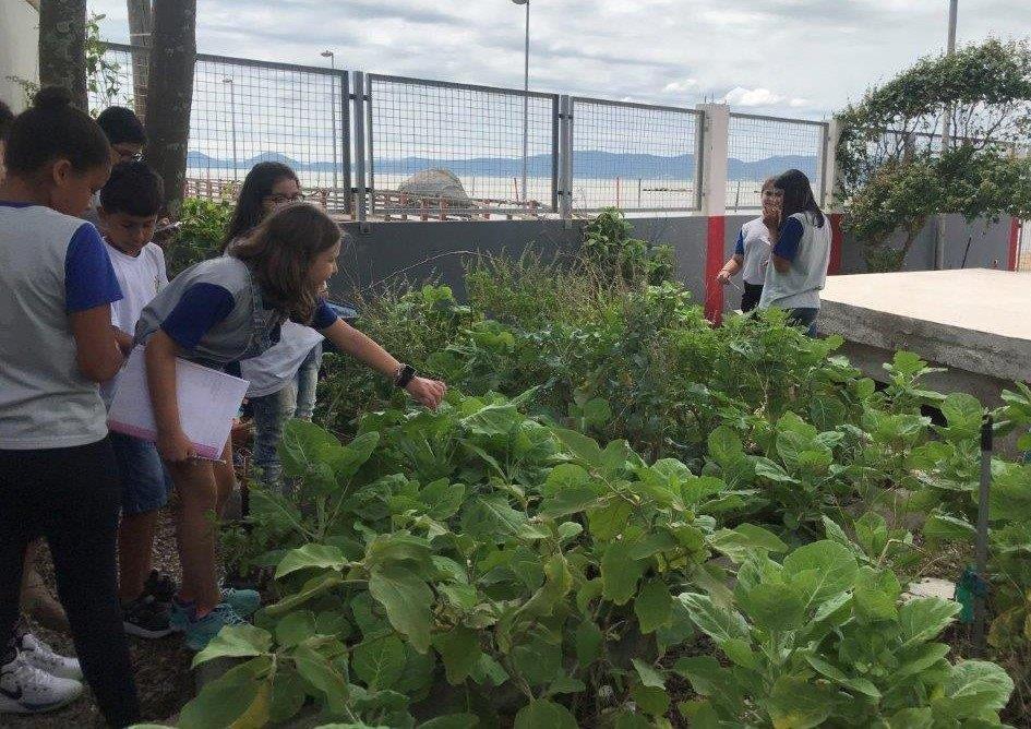 Duas alunas ao lado de um canteiro da horta escolar. Uma delas segura seu caderno enquanto aponta para uma planta com a outra.
