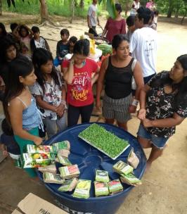 Foto de mulheres Guarani em torno das mudas e sementes entregues pelo Cepagro