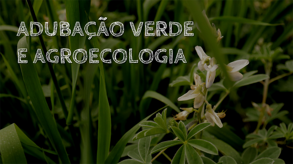 Capa da série audiovisual Adubação Verde e Agroecologia