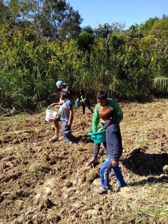 Jovens indígenas semeando espécies de adubos verdes em canteiro na aldeia Itanhaém.