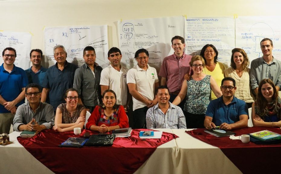Comite Gestor do projeto Agroecologia na América Latina: construindo caminhos