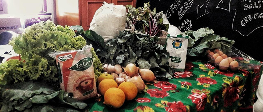 Foto de alimentos orgânicos e agroecológicos dispostos sobre uma mesa com toalha de chita.