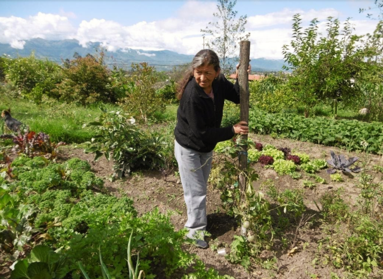 Maria Farinango, agricultora da comunidad San Vicente, em Imbabura, Equador