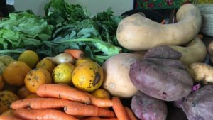 Foto de legumes e frutas agroecológicas e diversas.