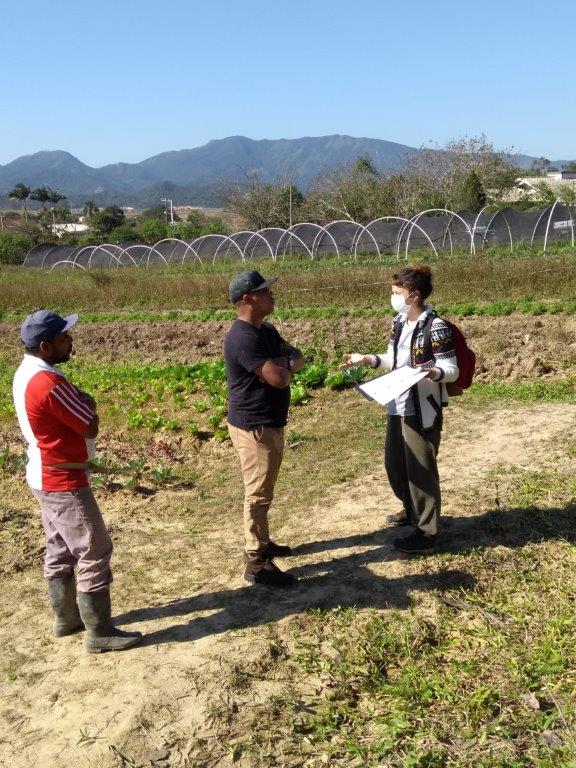 Técnica de campo do Cepagro conversando com dois agricultores na lavoura