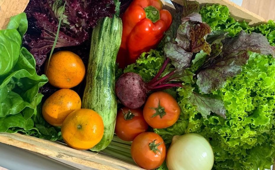 caixa de feira com legumes, verduras e frutas dentro