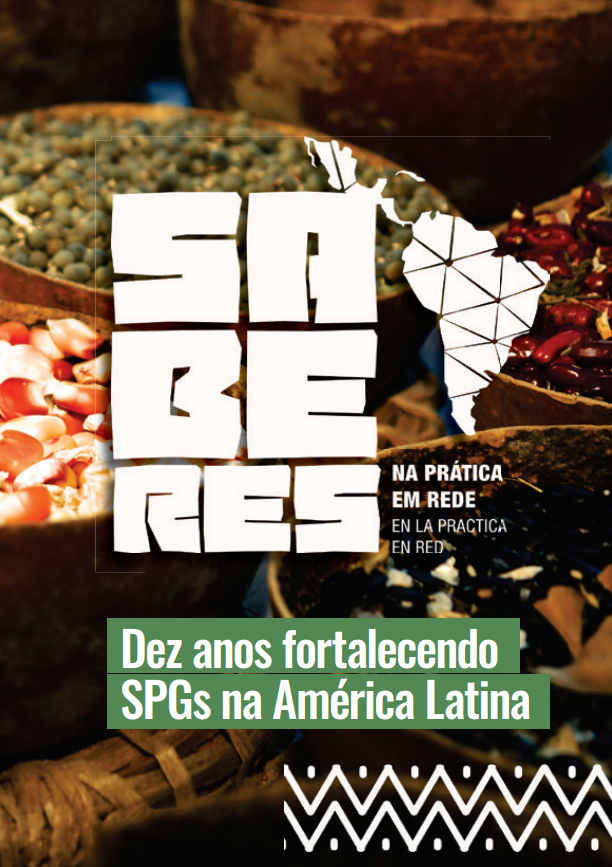 Imagem da capa do livro "Dez anos fortalecendo SPGs na América Latina"